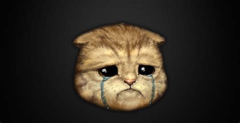 Crying Cat Wallpapers Wallpaper Cave