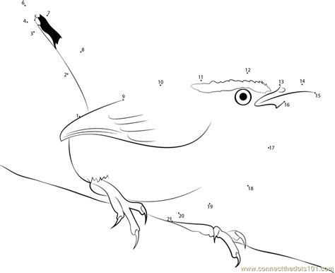 This carolina wren coloring page will get your child excited about birds. Connect the Dots South Carolina (Birds > Carolina Wren ...