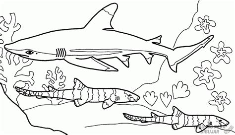 Dibujos de tiburones a lapiz. 磊【+2150】Los mejores dibujos de Tiburones sencillos ⚡️