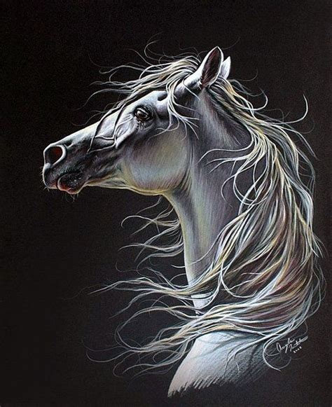 40 Realistic Animal Pencil Drawings Pencil Drawings Of Animals Horse