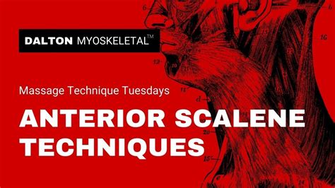 Anterior Scalene Myoskeletal Alignment Technique Youtube