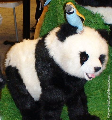 Ming Panda Bear Panda Bear Panda Cute Animal Pictures