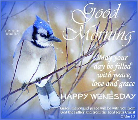 Good Morning Wishes On Wednesday Pictures Images Page 2