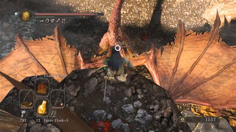 Dark Souls 2 Guide 63 Dragon Aerie Youtube