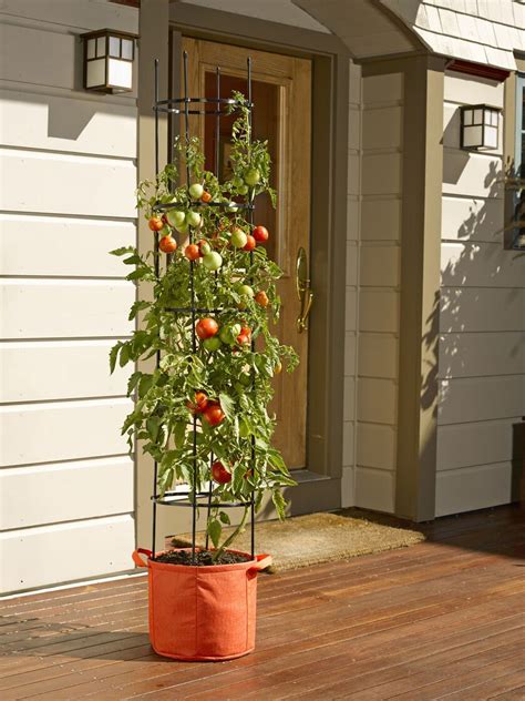 Tomato Grow Bag With 5 Integrated Cage In 2020 Grow
