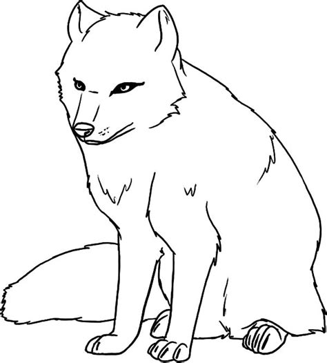Female Artic Fox Coloring Pages : Best Place to Color