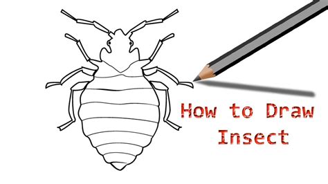 How To Draw A Bug Insect Step By Step Drawing For Kids Youtube