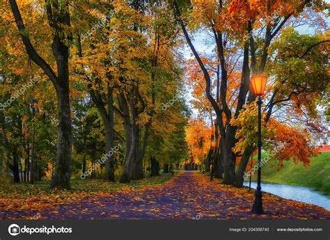 Autumn Alley In Park Landscape Of Amazing Autumn Colorful Alley With