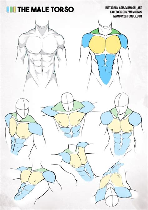 Drawing anime and manga step by. 493 best images about Figure Drawing / Torso on Pinterest | Best animation, Human anatomy and Muscle