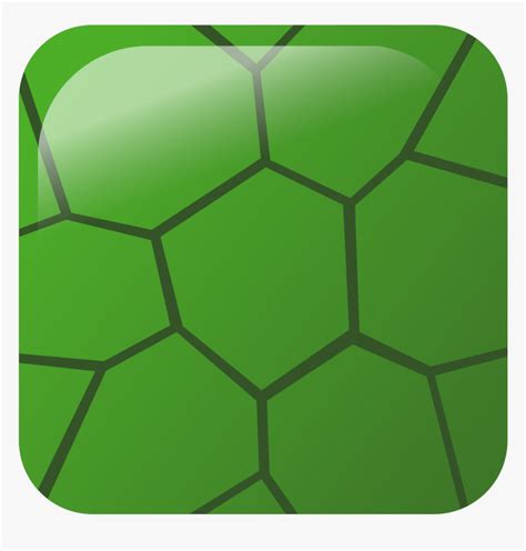 Turtle Shell Pattern Vector Hd Png Download Kindpng