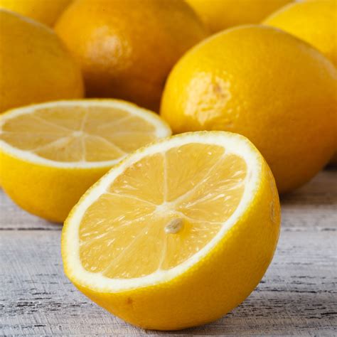 Improved Meyer Lemon Tree For Sale Online