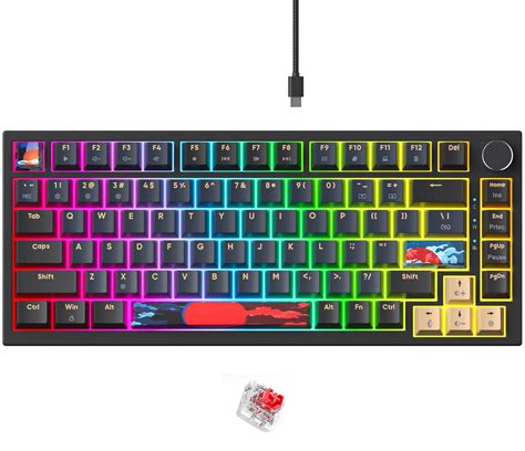 Electronikz Fogruaden 75 Wired Mechanical Gaming Keyboard 75 Percent