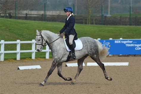 Brc Area 18 Novice Winter Dressage Area 18 Qualifier Online