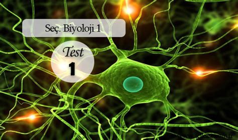 Check spelling or type a new query. Seçmeli Biyoloji 1 Test 1 | Açık Öğretim Lisesi