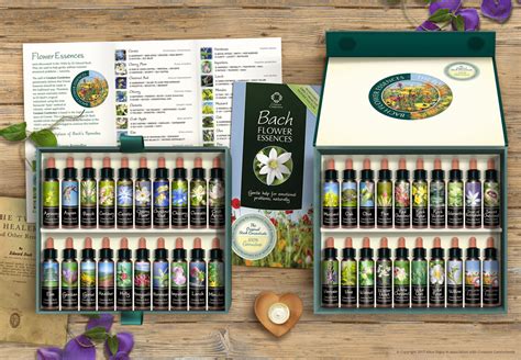 Treat dog separation anxiety symptoms with bach flowers. Bach Flower Essences Set. 40 Quality Remedies Boxed.