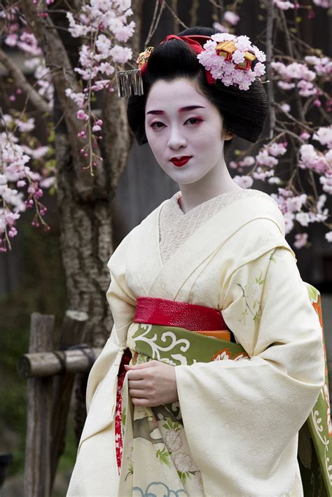 Under Cherry Blossoms Maiko Kotoha Just Looks At Me Flickr