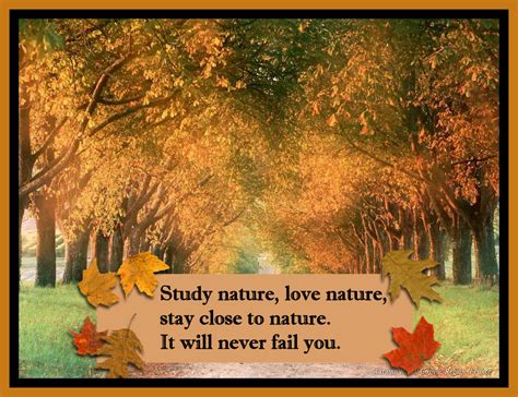 Autumn Natures Seasons Fan Art 9544499 Fanpop