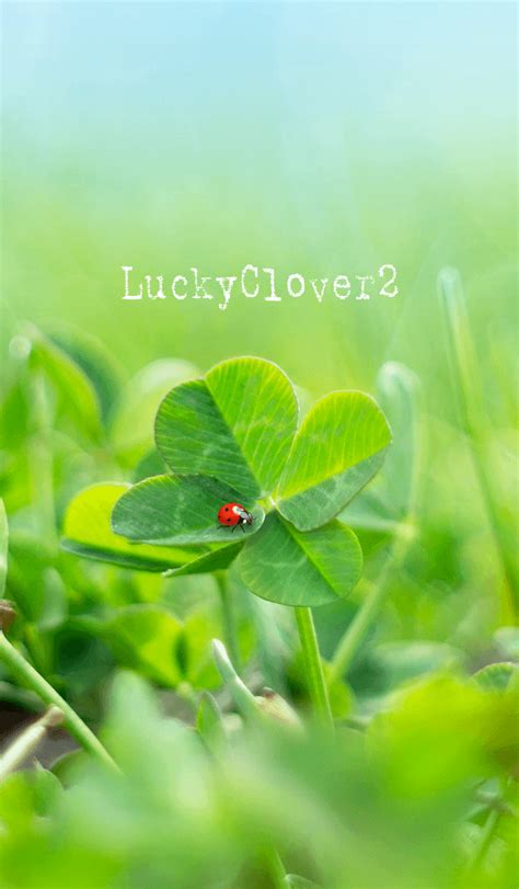 LINE Creators' Themes - LuckyClover2