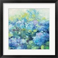 Hydrangea Delight Ii By Carol Rowan Canvas Art Color Of Night Art