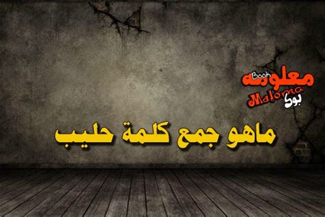 تقدم منصة فرصة العديد من المنح الدراسية المجانية والممولة بالكامل للبكالوريوس والماجستير والدكتوراة في كافة التخصصات وفي أعرق جامعات العالم المعترف بها دوليًا، حيث يمكنك اختيار الوجهة التعليمية التي ترغب بالسفر إليها والجامعة والتخصص ونوع التمويل. ماهو جمع كلمة حليب