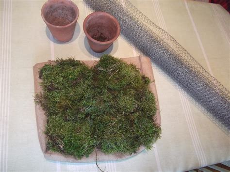 Maybe you would like to learn more about one of these? .: Moss topiary pots
