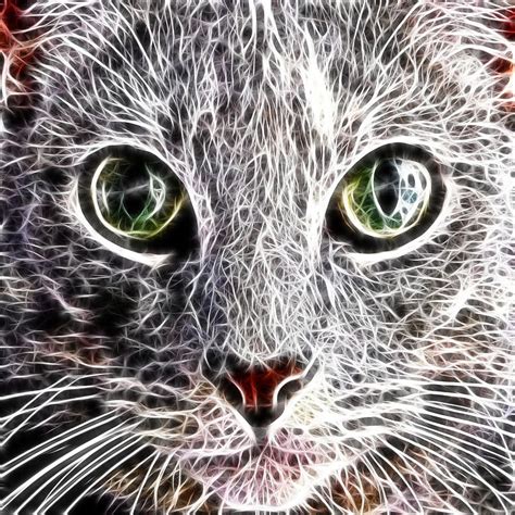 Fractal Feline By David G Paul Cat Art Fractal Art Fire Art