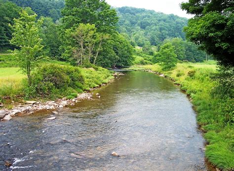 One Of My Favorite Wv Trout Streams Glady Fork Of Dry Fork Of Cheat