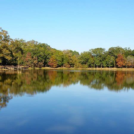 Situated in one of mississippi's most popular state parks, the location of these quaint cabins far outweighs the accommodations. These Are 10 Of The Most Under-Appreciated State Parks In ...