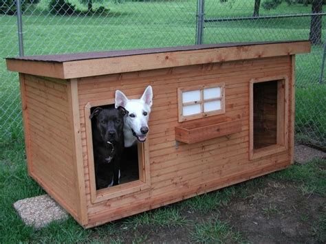 20 Double Dog House Plans