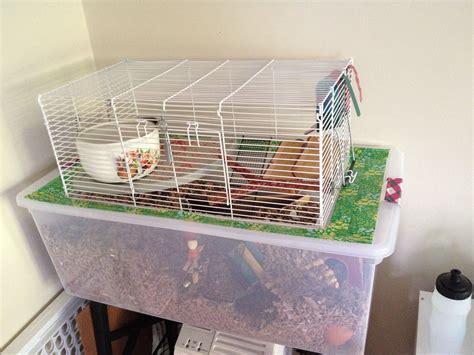 A Bin Cage With Topper Travel Hamster Diy Cage Hamster House