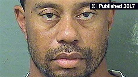 tiger woods ‘alcohol was not involved in arrest the new york times