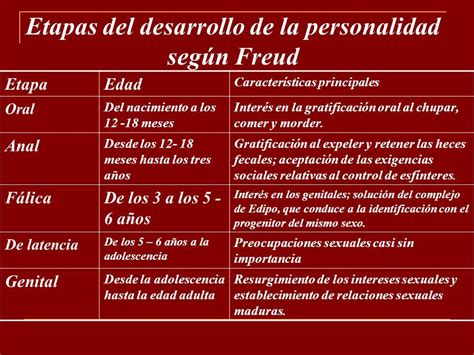 Etapas De Desarrollo Segun Freud Havah