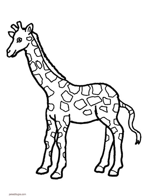 Colorear dibujos recursos escolares e infantiles dibujos para colorear. Dibujos de jirafas para colorear
