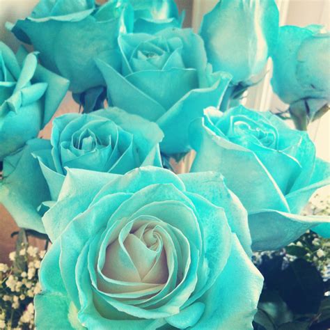 Floral arrangements filled with flowers in shades of blue offers a relaxing effect and helps to ease tension. Tiffany Blue Roses! Made just for me