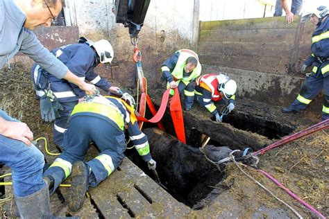 Happy end für pferd „betty auf einem bauernhof oberhalb von kitzbühel in tirol: Einsatz: Pferd in Jauchegrube, Furx | Ortsfeuerwehr ...