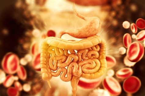 Irritable Bowel Syndrome How To Deal With It Naturally