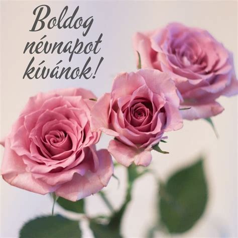 Találhatsz köztük férfiaknak, nőknek és gyerekeknek való üdvözlő verset egyaránt. Névnapi köszöntő képeslap nőknek - Névnapi képeslapok