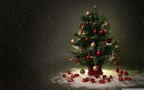 Christmas Tree Wallpapers Top Free Christmas Tree Backgrounds