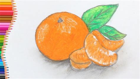 How To Draw Orange Easy Fruits Drawing Tutorial Youtube