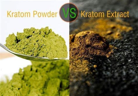 A Look At Kratom Extract Vs Powder – RS Realty & Auction
