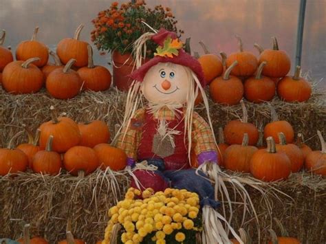 Autumn Scarecrow Wallpaper Wallpapersafari