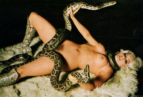 Serpent Python Hot Sex Picture