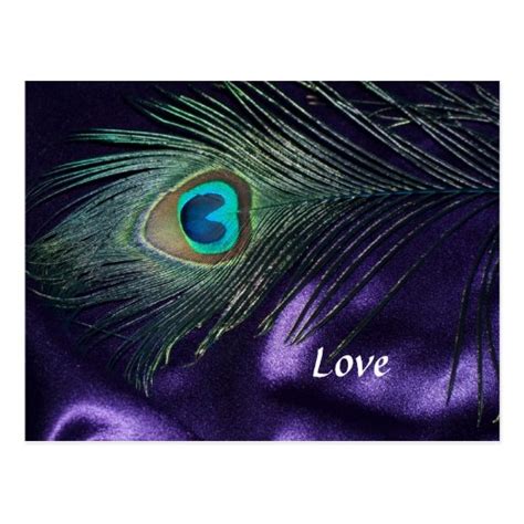 Awesome Purple Peacock Feather Postcard Zazzle