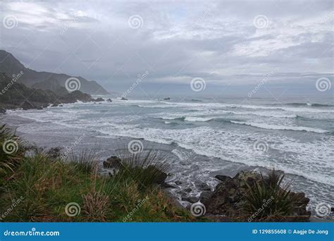 Tasman Sea Waves On West Coast Of New Zealand Stock Photo Image Of
