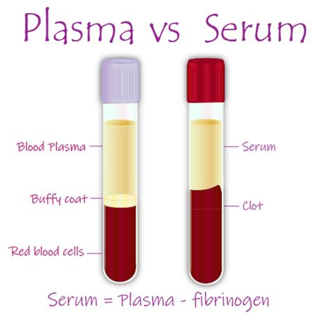 What Is The Difference Between Plasma And Serum Owlcation