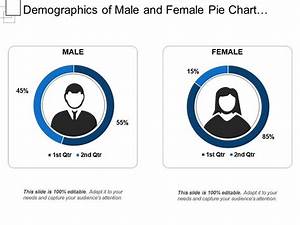 Demographics Of And Female Pie Chart Showing Percentage