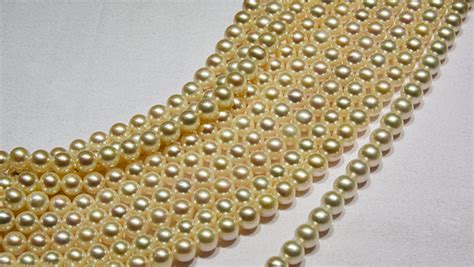 Chinese Freshwater Pearl Culturing Overall Market Summary Gems And Gemology