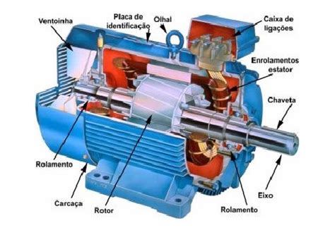 TIPOS DE MOTORES MOTOR TRIFASICO