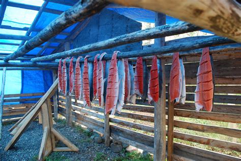 Teslin Salmon Smoking Near Teslin Tlingit Heritage Centre Flickr