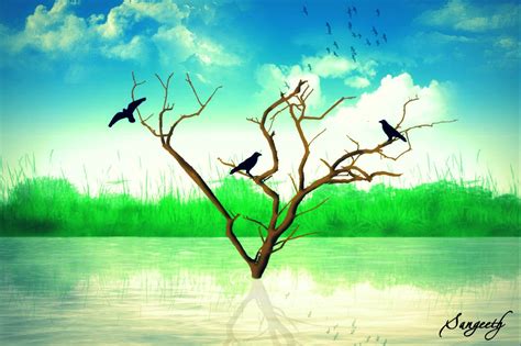 Enchanting Nature Digital Painting Photoshop Nature Pictures Best